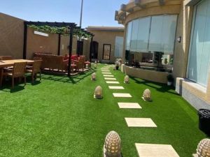 منتجع الديم حائل - 5