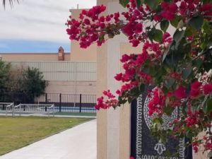 منتجع تولاي حائل - 9