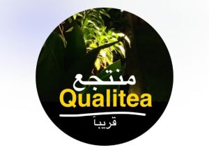 منتجع كوالتي حائل - 2