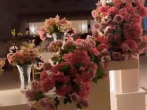 قاعة قصر الأفراح المعبيلة الجنوبية - 9