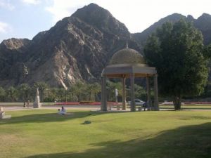 فندق الواحة الذهبية - 6