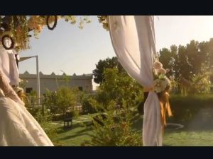 حديقة فندق الواحة الخضراء - 6