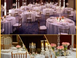 رويال توليب مسقط - 15