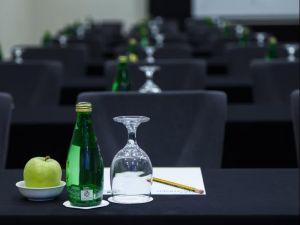 قاعة اجتماعات فندق هوليدي ان السيب - 2