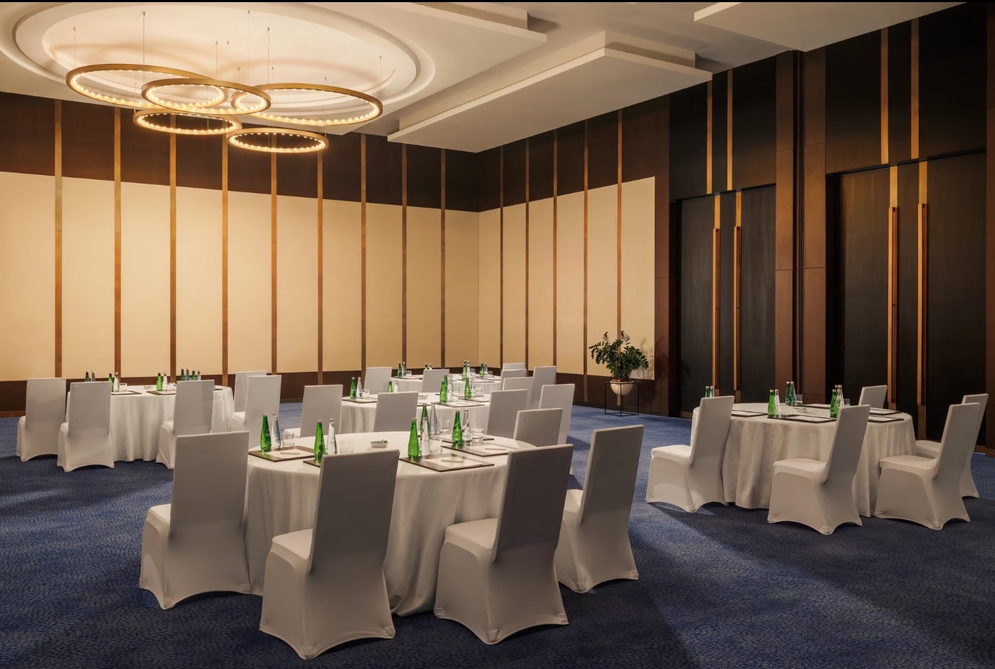 قاعة الاجتماعات 5 (Meeting Room 5) منتجع جميرا جزيرة السعديات أبوظبي
