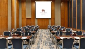 Salle Reef – DoubleTree by Hilton Resort & Spa Marjan Island, Ras Al Khaimah