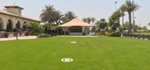 Dolphin Lawn نادي جولف شاطئ السعديات أبوظبي - 2