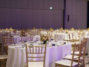 قاعة فندق دبليو نخلة جميرا دبي - 8