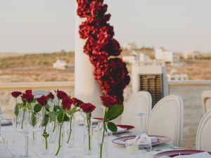 بابيون لحفلات عمّان - 6