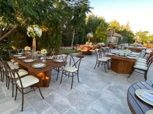 مزرعة نايا عمّان - 7