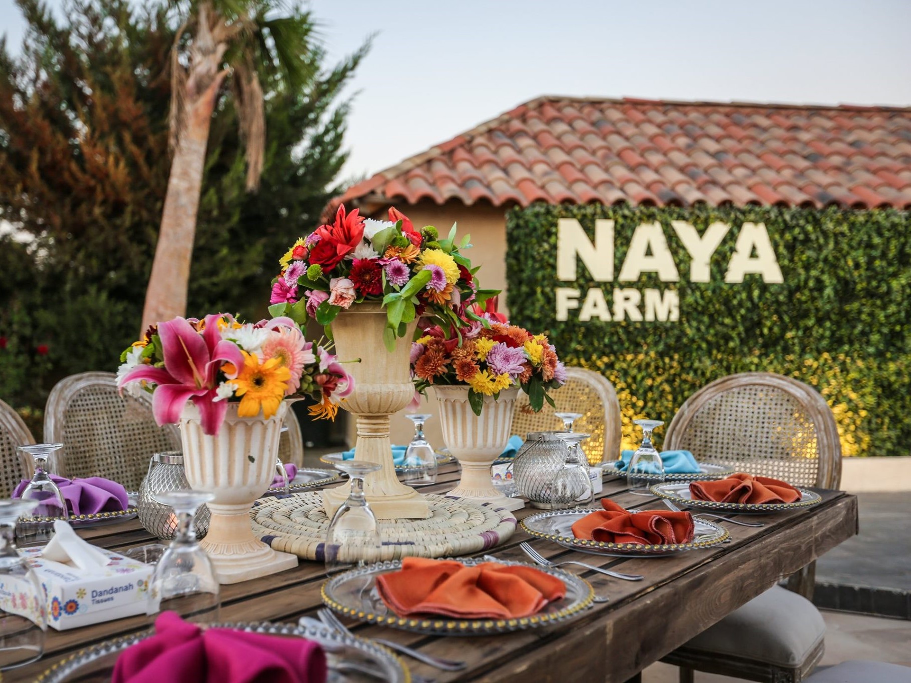 مزرعة نايا عمّان - 11