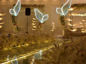 قاعة عروس الجبل البيضاء - 5