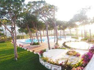 باين سبرينغس جبل لبنان - 7