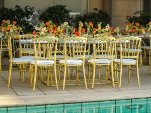 جفينور روتانا بيروت - 7