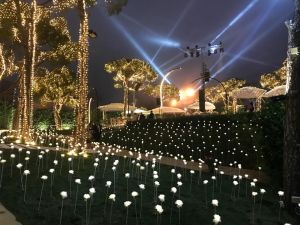 ذا روزز جاردن جبل لبنان - 6