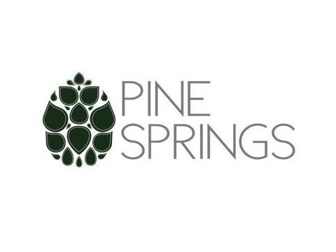 باين سبرينغس جبل لبنان