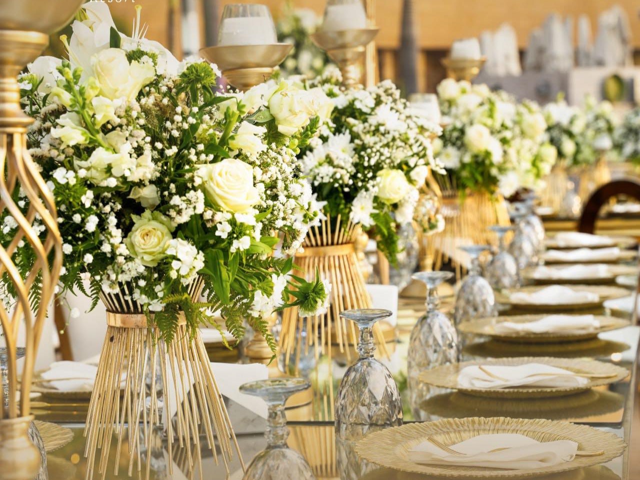 لارك محافظة الجنوب - thumb