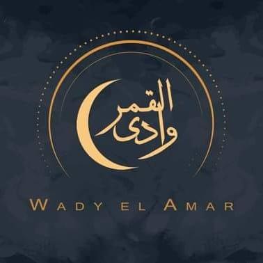 قاعة وادي القمر المحلة الكبرى