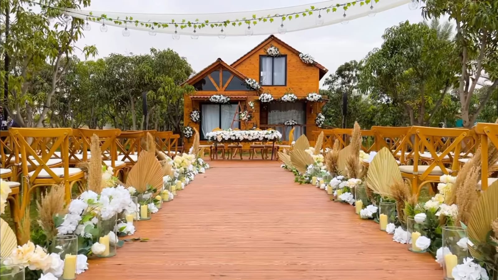 تري هاوس عرابي